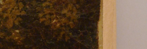 P3490253