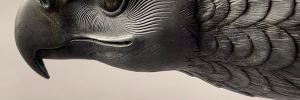 IMG_6520D