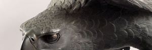 IMG_6523D