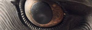 IMG_6527D