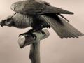 IMG_6519D