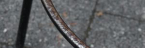 P4600506