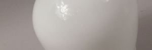 P4900012