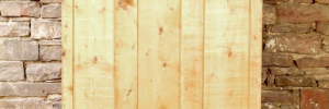 P1710169