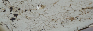 P2720629