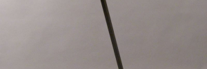 P3200606