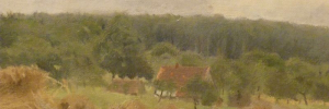P3560137