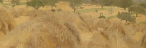 P3560138