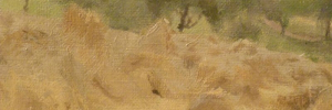 P3560139
