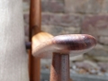 P3560176