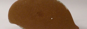 P3230026