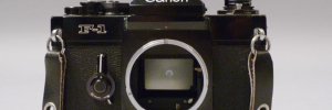 P3070496