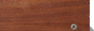 P3060428