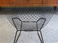 bertoia17