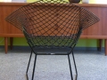 bertoia19