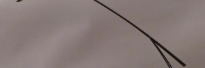 P3490815