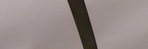 P3490818