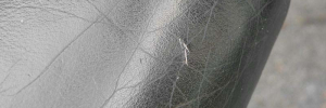 P3060603