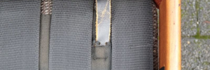P1710190