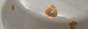 P1960769