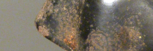 P1960773