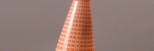 P3370949