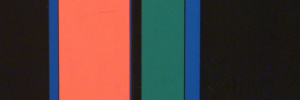P3140313