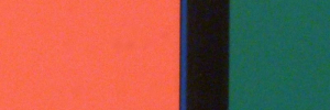 P3140315