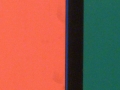 P3140315