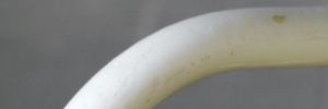 P4430258