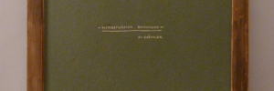 P3550981