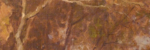 P2870411
