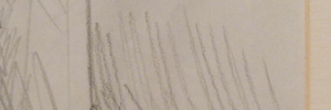 P2920931