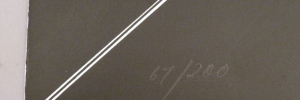 P3390054