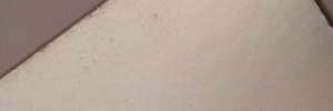 P3390055