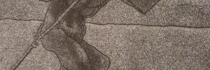 P3510750