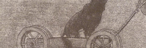 P3510751