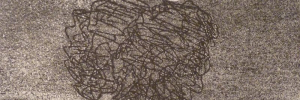 P3510752