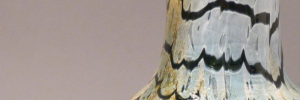 P3520642