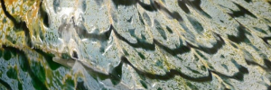 P3520643