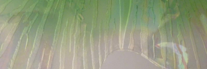 P3220981