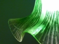 P3220987