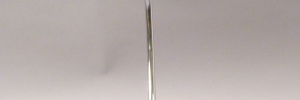 P3090302