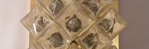 P3770976