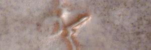 P3780559