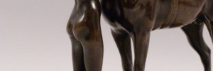 P4180198