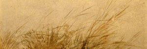P2920013