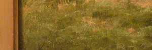 P2920014