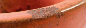 P4180341