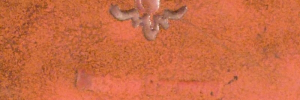 P4180344